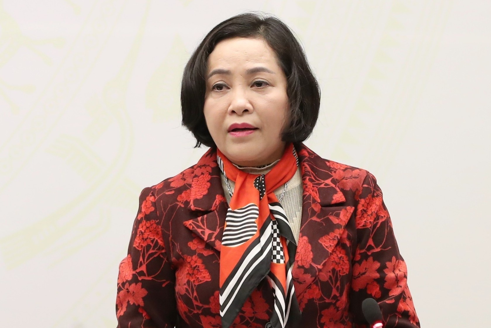 Quoc hoi sap phe chuan nhan su thay cac ong Pham Binh Minh, Vu Duc Dam hinh anh