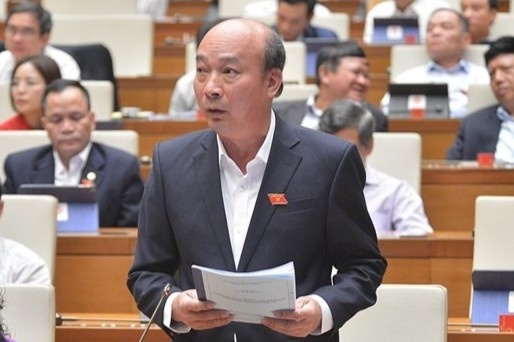 mien nhiem dai bieu QH anh 1