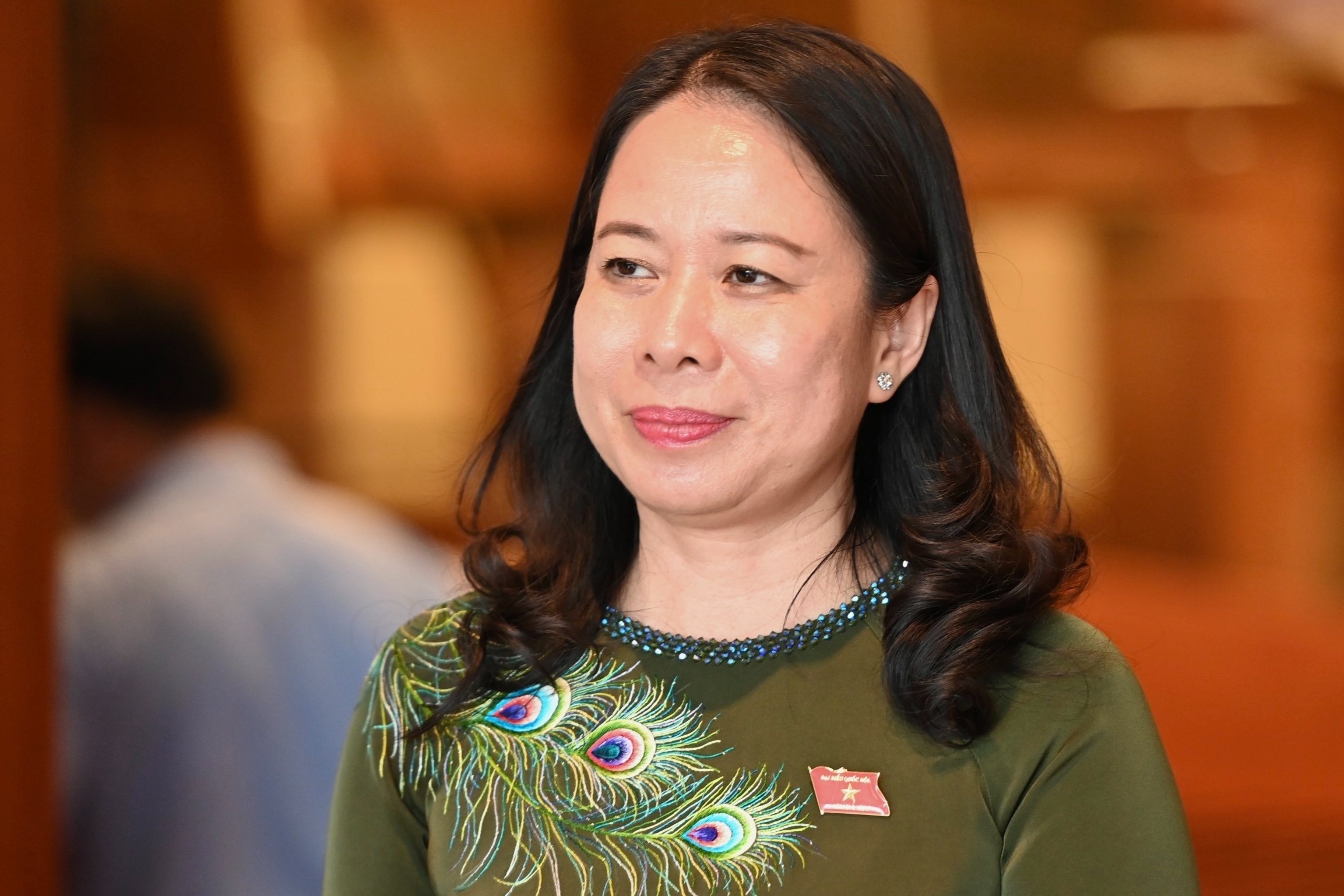 Ba Vo Thi Anh Xuan giu quyen Chu tich nuoc hinh anh