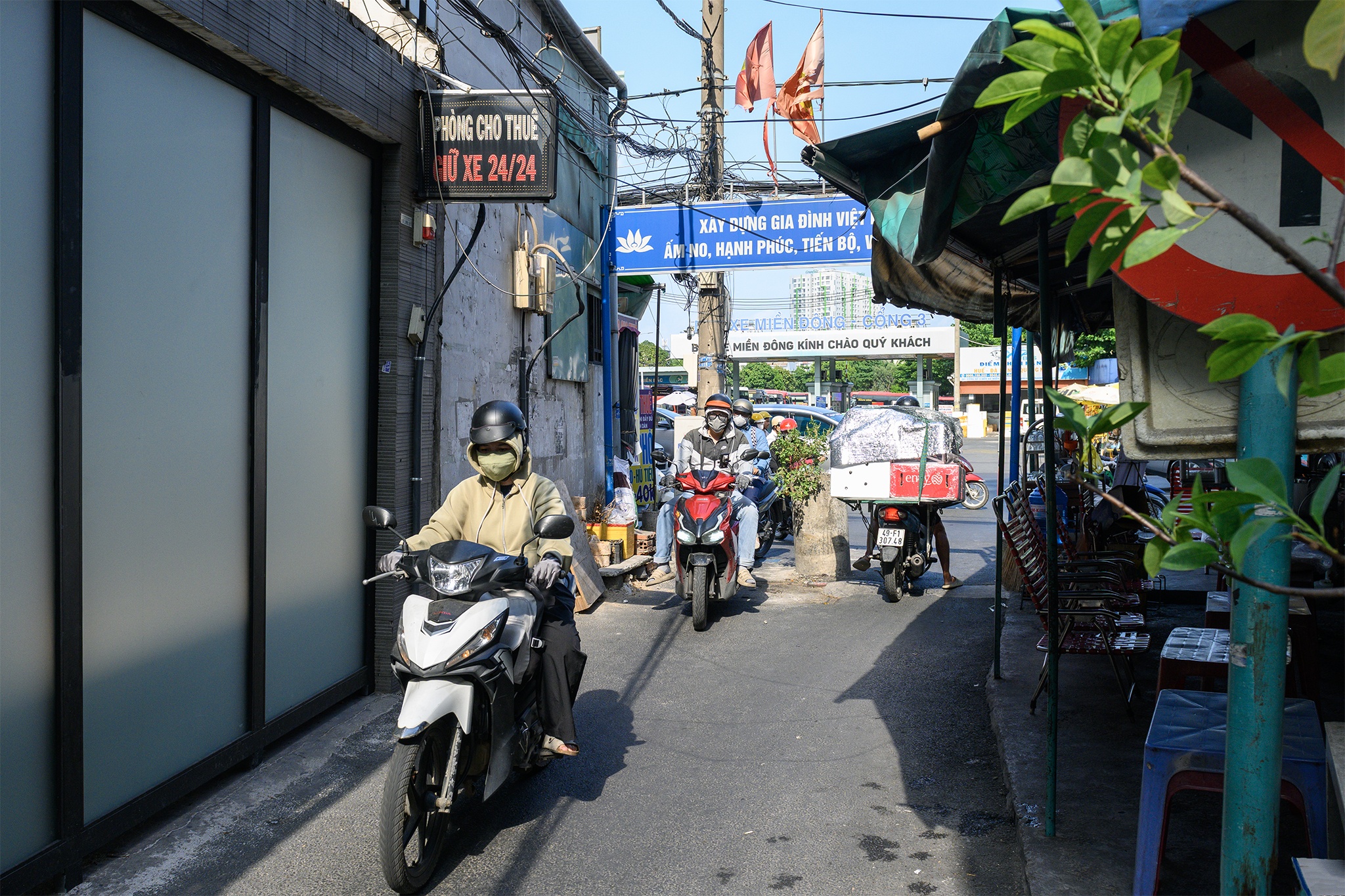Hang xanh anh 9