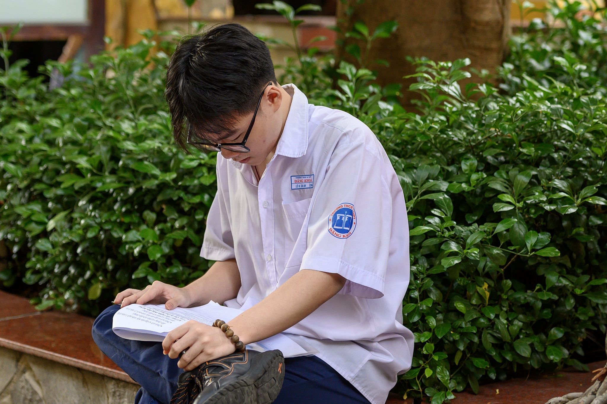 văn ảnh 8 van anh 8