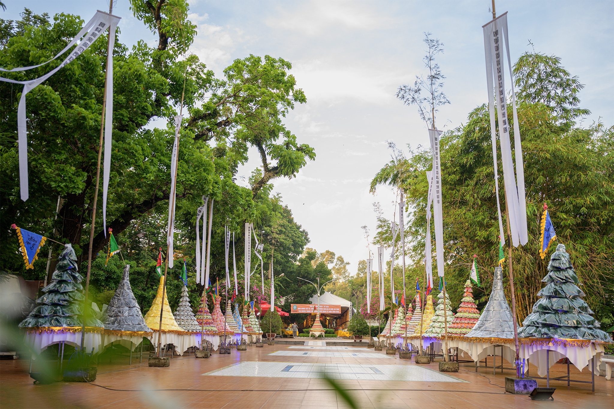 cau sieu anh 15