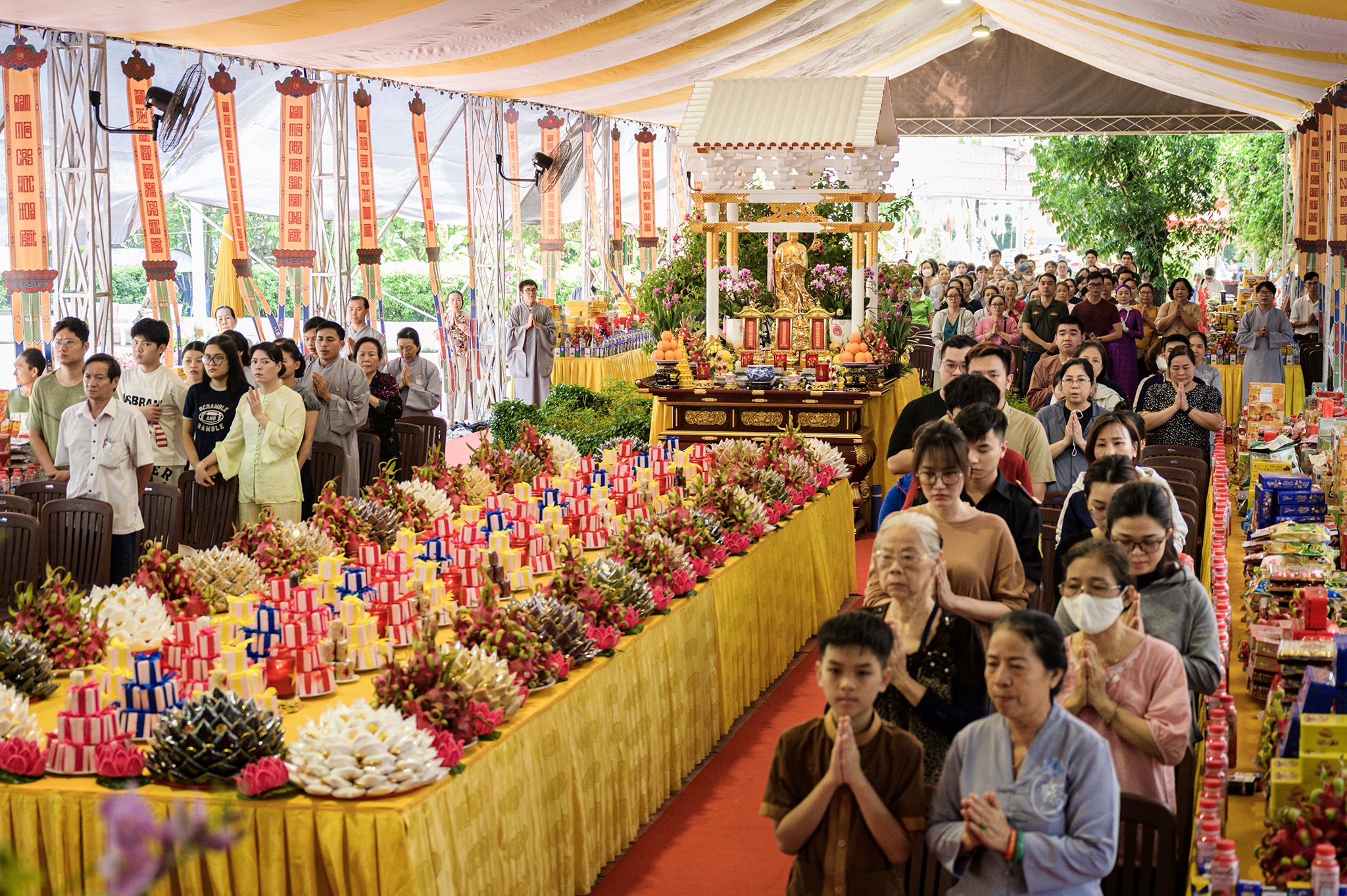 cầu siêu ảnh 8 cau sieu anh 8