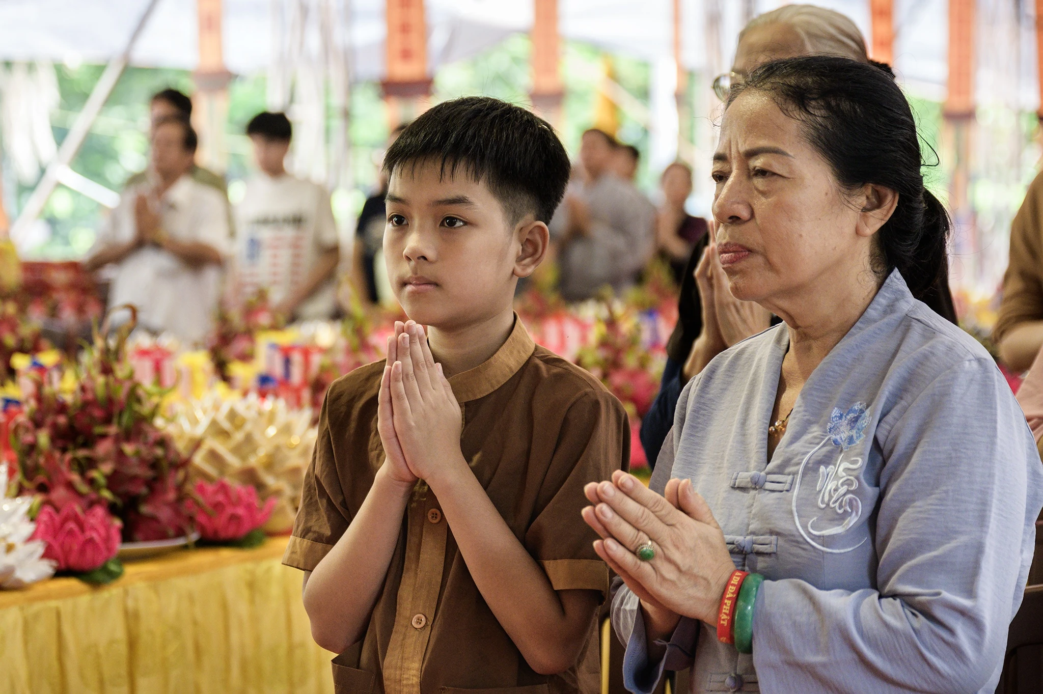 cầu siêu ảnh 5 cau sieu anh 5