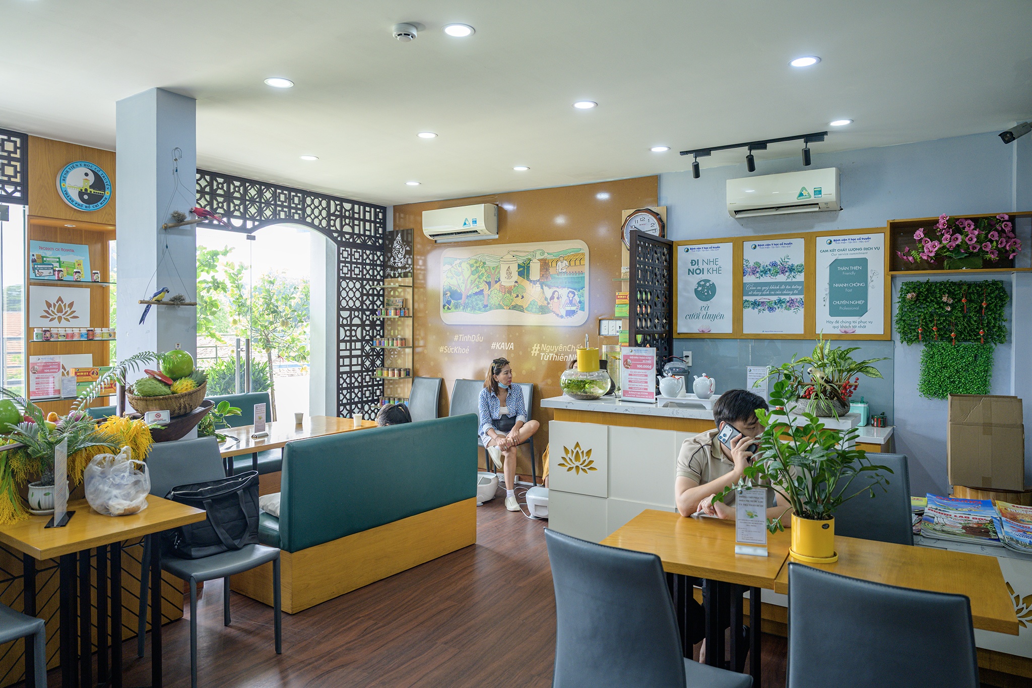 y học cổ truyền ảnh 3