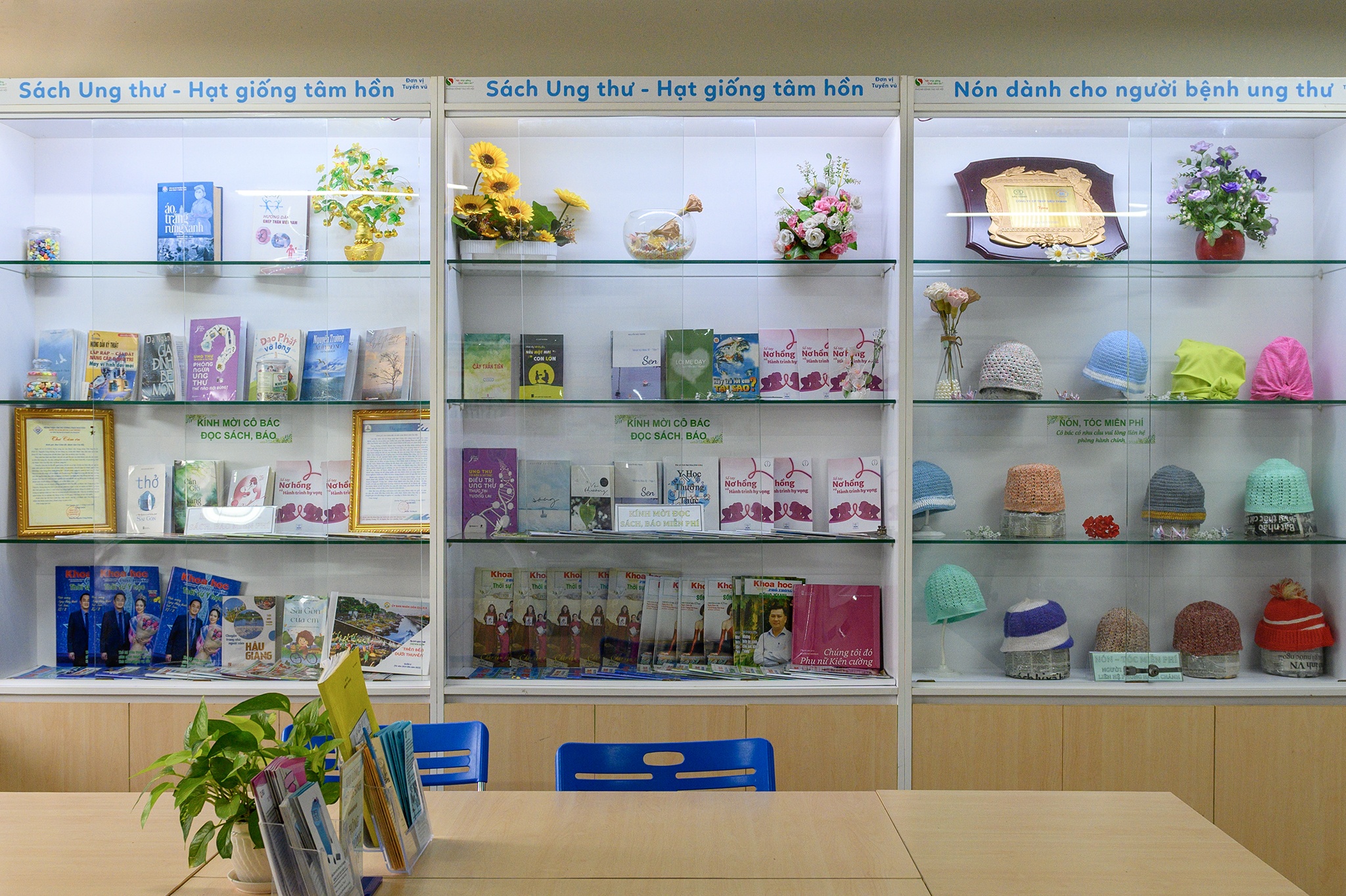 bệnh viện chợ rẫy ảnh 15