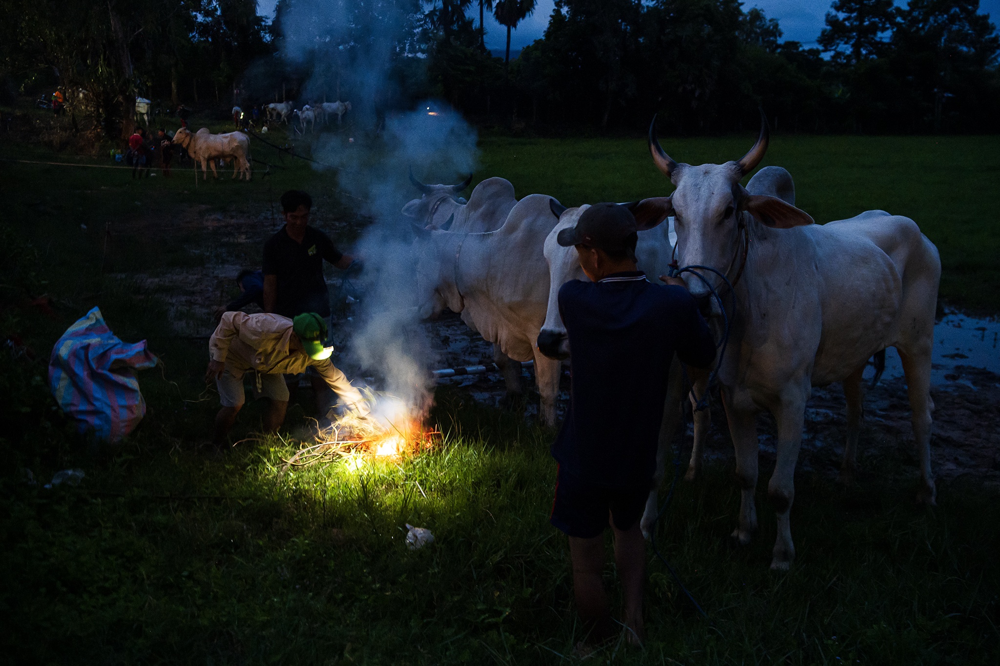 Ch&ugrave;a r&ocirc; ảnh 1