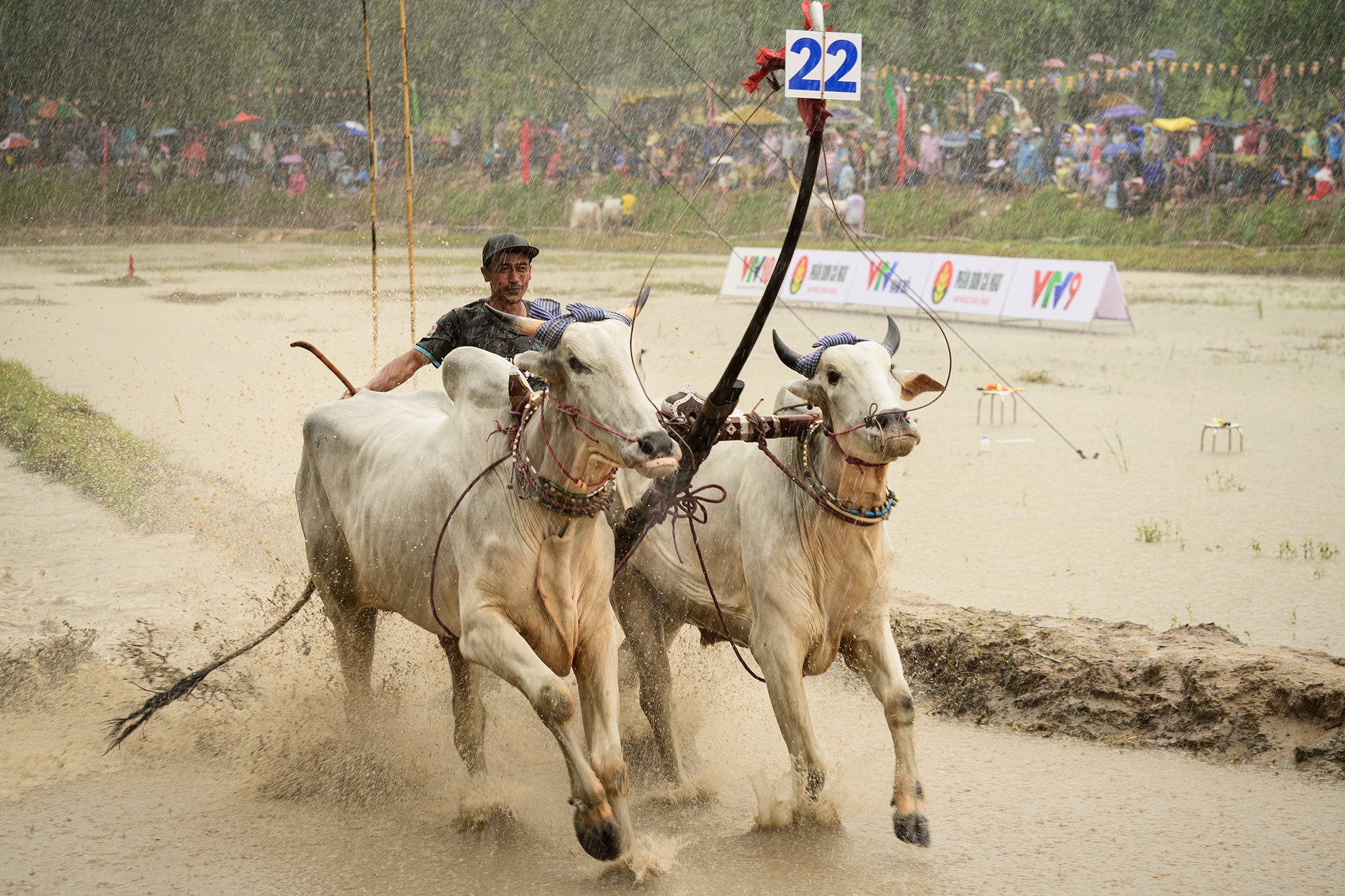 Ch&ugrave;a r&ocirc; ảnh 5