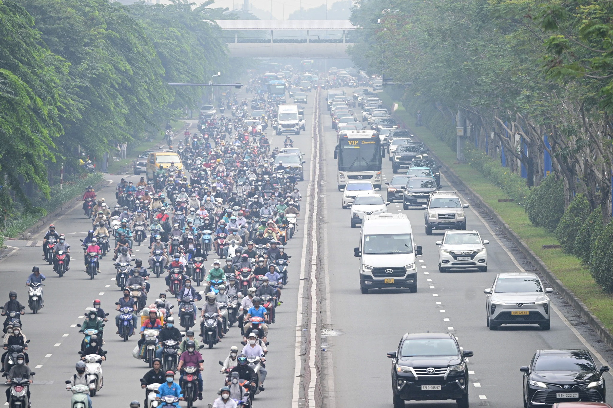 TP.HCM ảnh 2