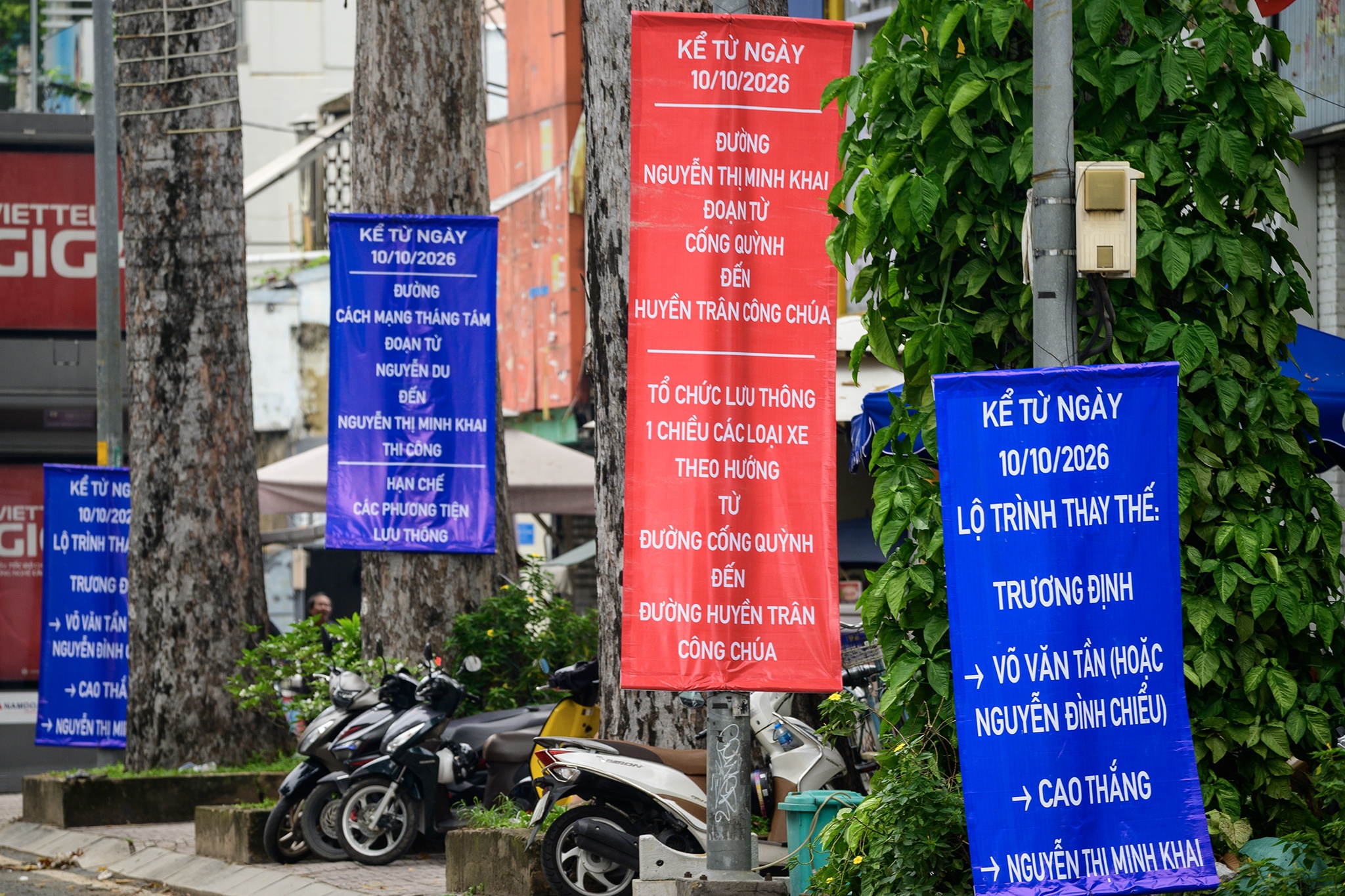 TP.HCM ảnh 11