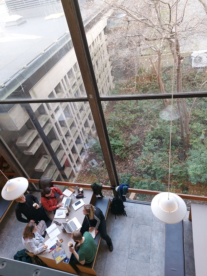 Nguoi Viet tai Dan Mach khi duoc do bo han che Covid-19 anh 3