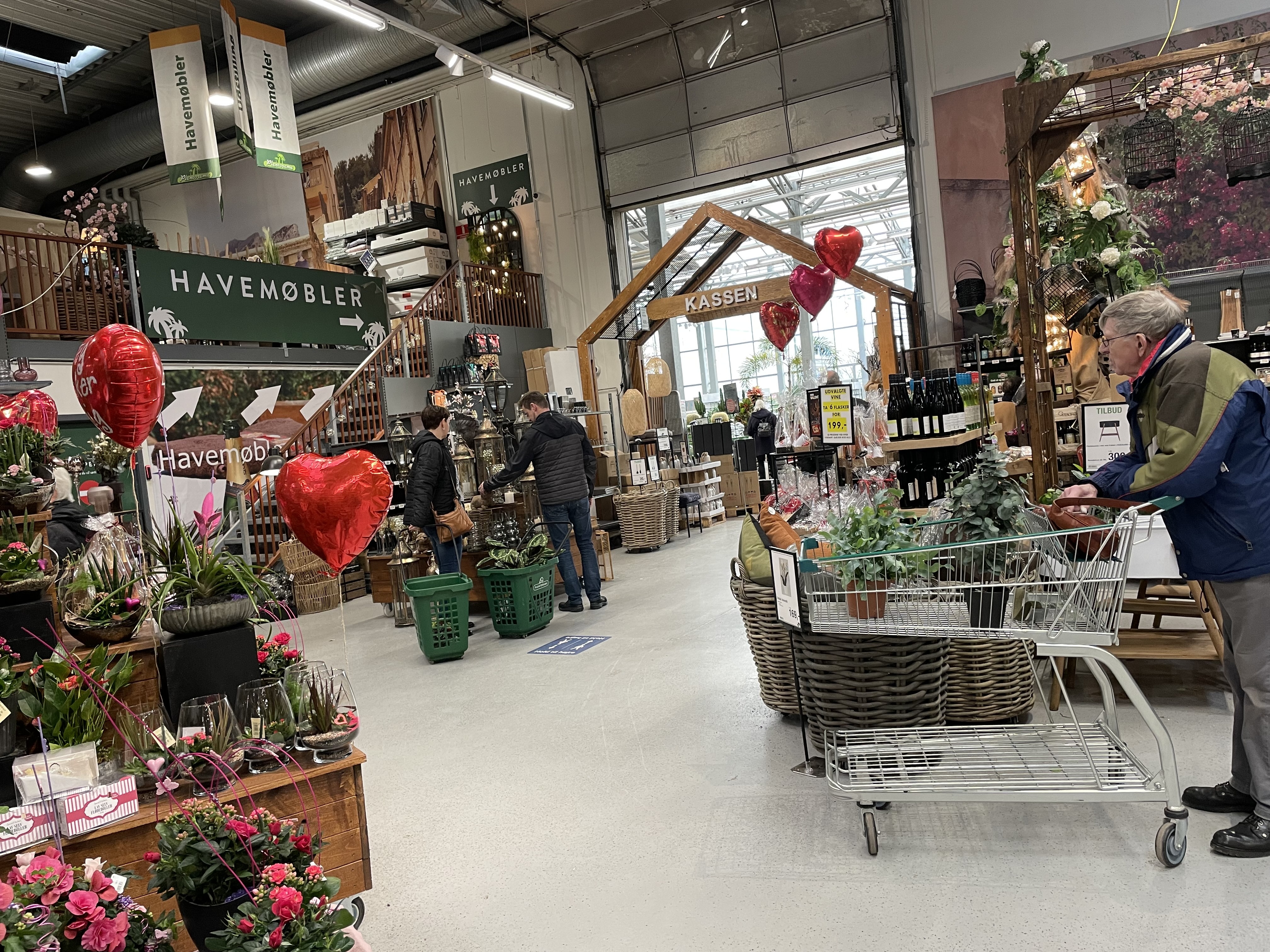 Nguoi Viet tai Dan Mach khi duoc do bo han che Covid-19 anh 11