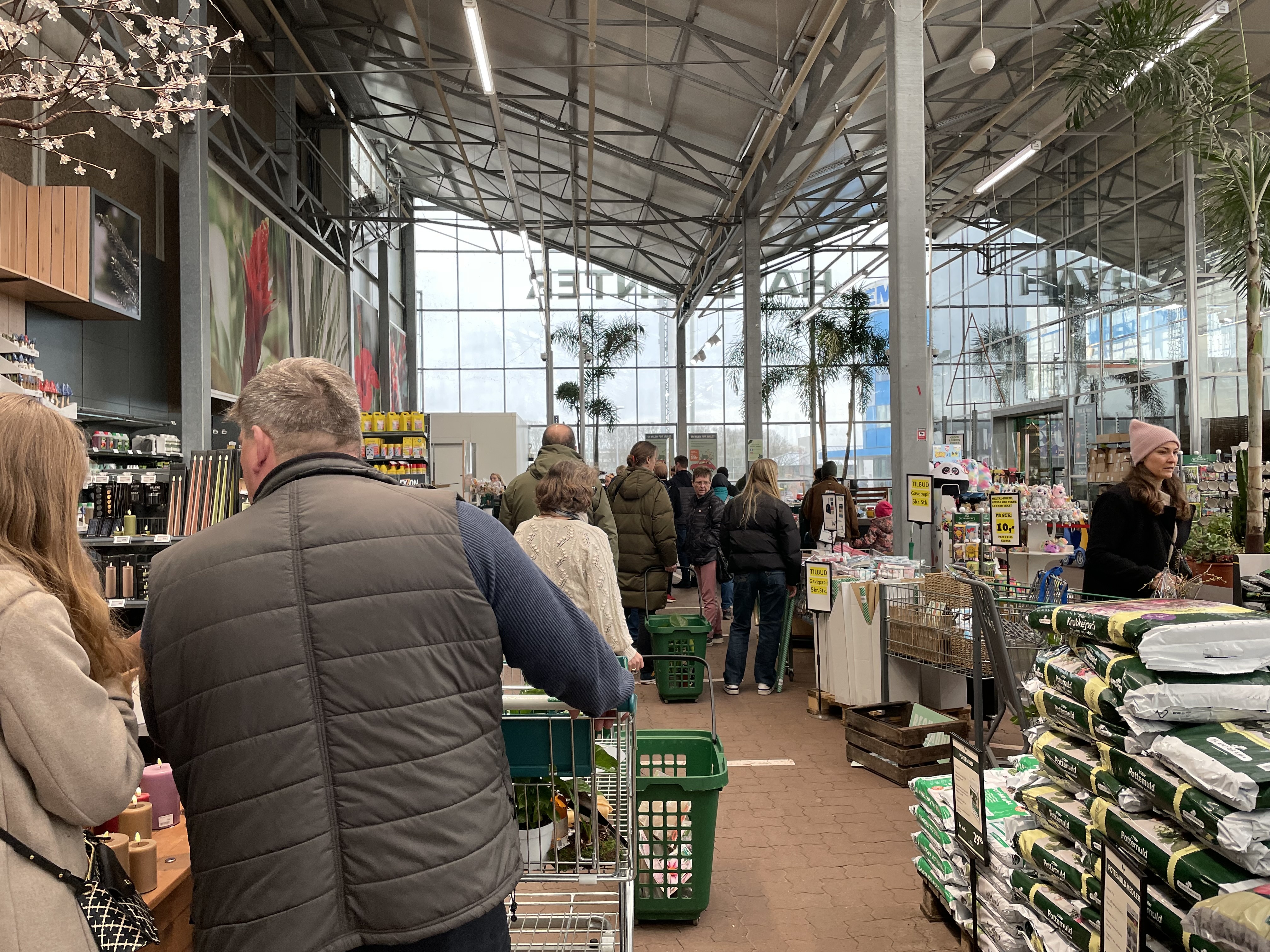 Nguoi Viet tai Dan Mach khi duoc do bo han che Covid-19 anh 10