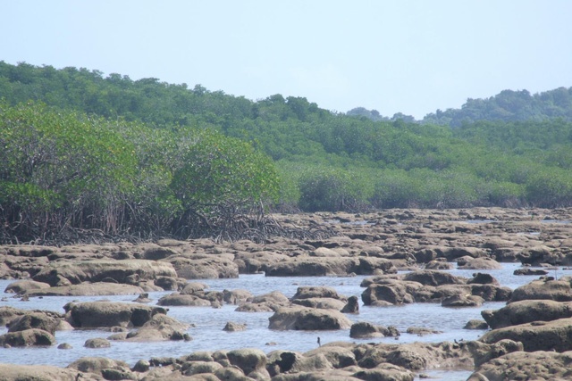 Sau hon 100 nam, muc nuoc o Bien Dong tang 150 mm hinh anh