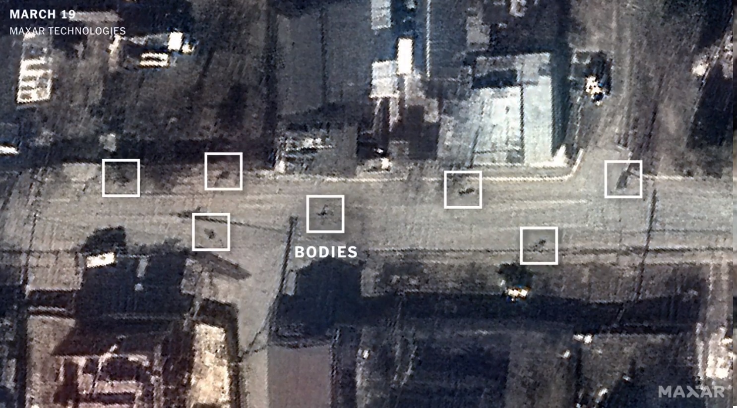 Anh ve tinh Bucha anh 9