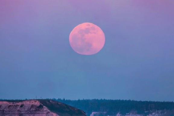 'Trang hong' thang 4 xuat hien vao cuoi tuan hinh anh