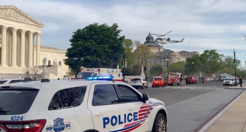 nguoi dan ong tu thieu tai My anh 1