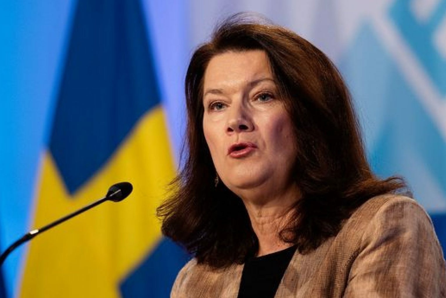 Thuy Dien noi duoc My dam bao an ninh neu nop don gia nhap NATO hinh anh