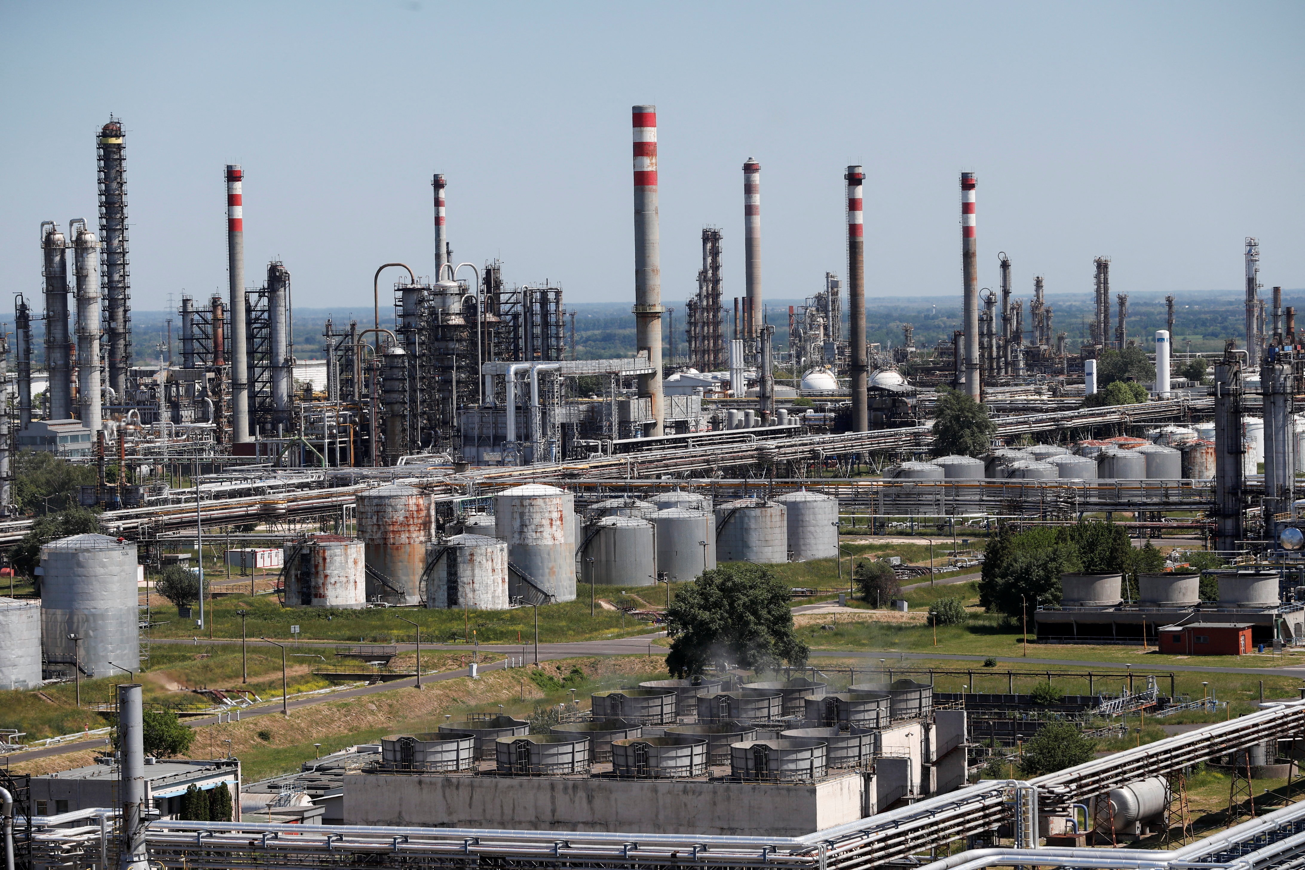 eu trung phat dau nhap tu nga anh 1