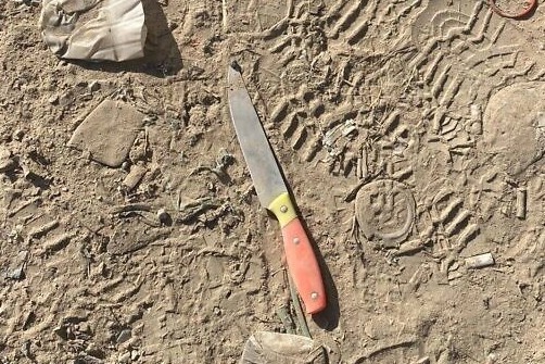 Mot phu nu Palestine bi ban chet khi cam dao lao vao linh Israel hinh anh