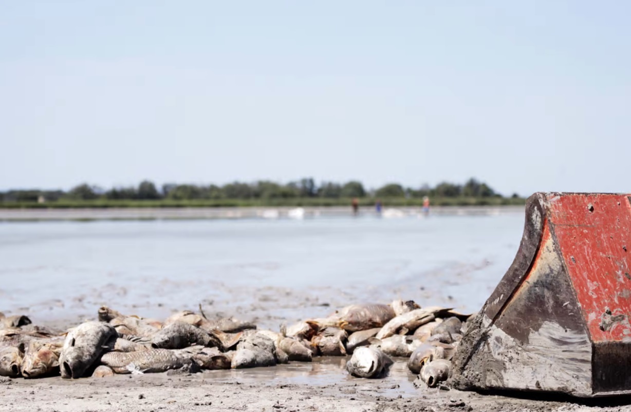 nang nong tai chau au anh 3