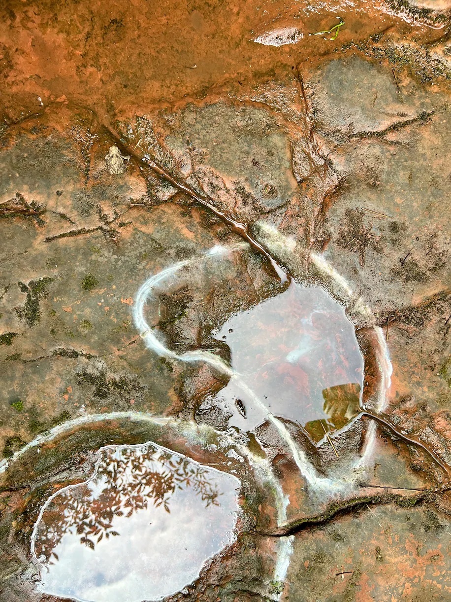 dau chan khung long o trung quoc anh 1