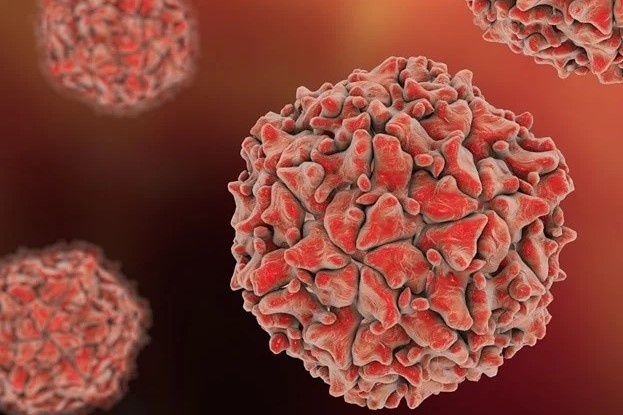 New York phat hien virus bai liet trong nuoc thai hinh anh