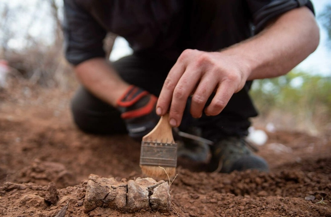 Phat hien bo xuong loai khung long lau doi nhat chau Phi hinh anh