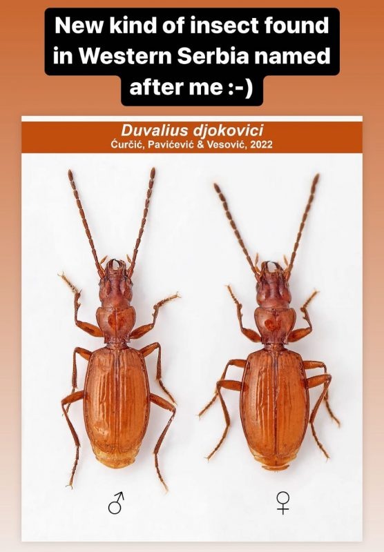 bo canh cung djokovic anh 1