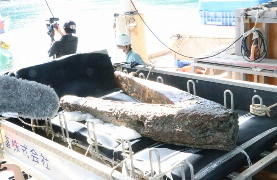 mo neo tau mong co anh 1