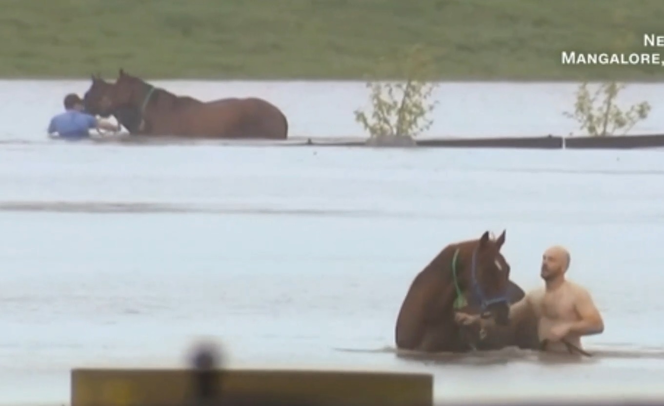 Oto, nha cua bi nhan chim trong nuoc lu o Australia hinh anh