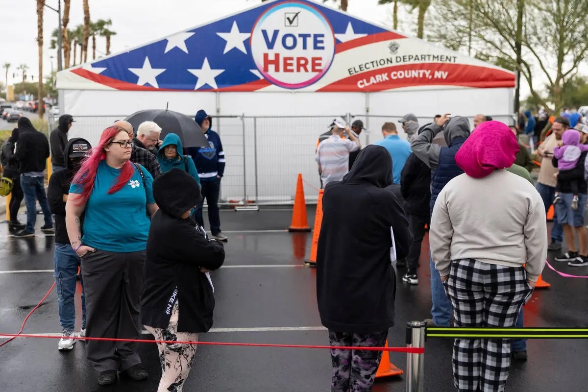 bau cu giua ky anh 2