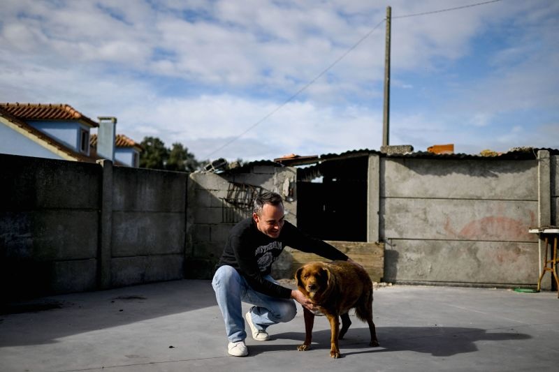 chu cho gia nhat anh 1