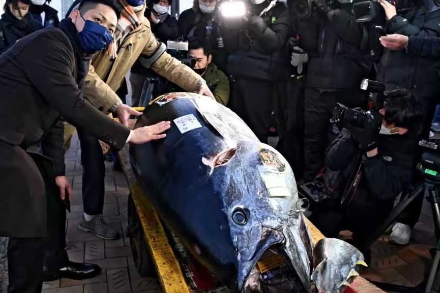 'Kim cuong den' 212 kg o phien dau gia nam moi hinh anh