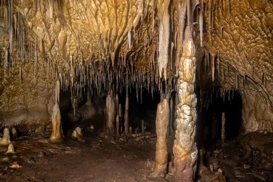 Phat hien hang khong lo duoc an giau hang nghin nam o Tay Ban Nha hinh anh