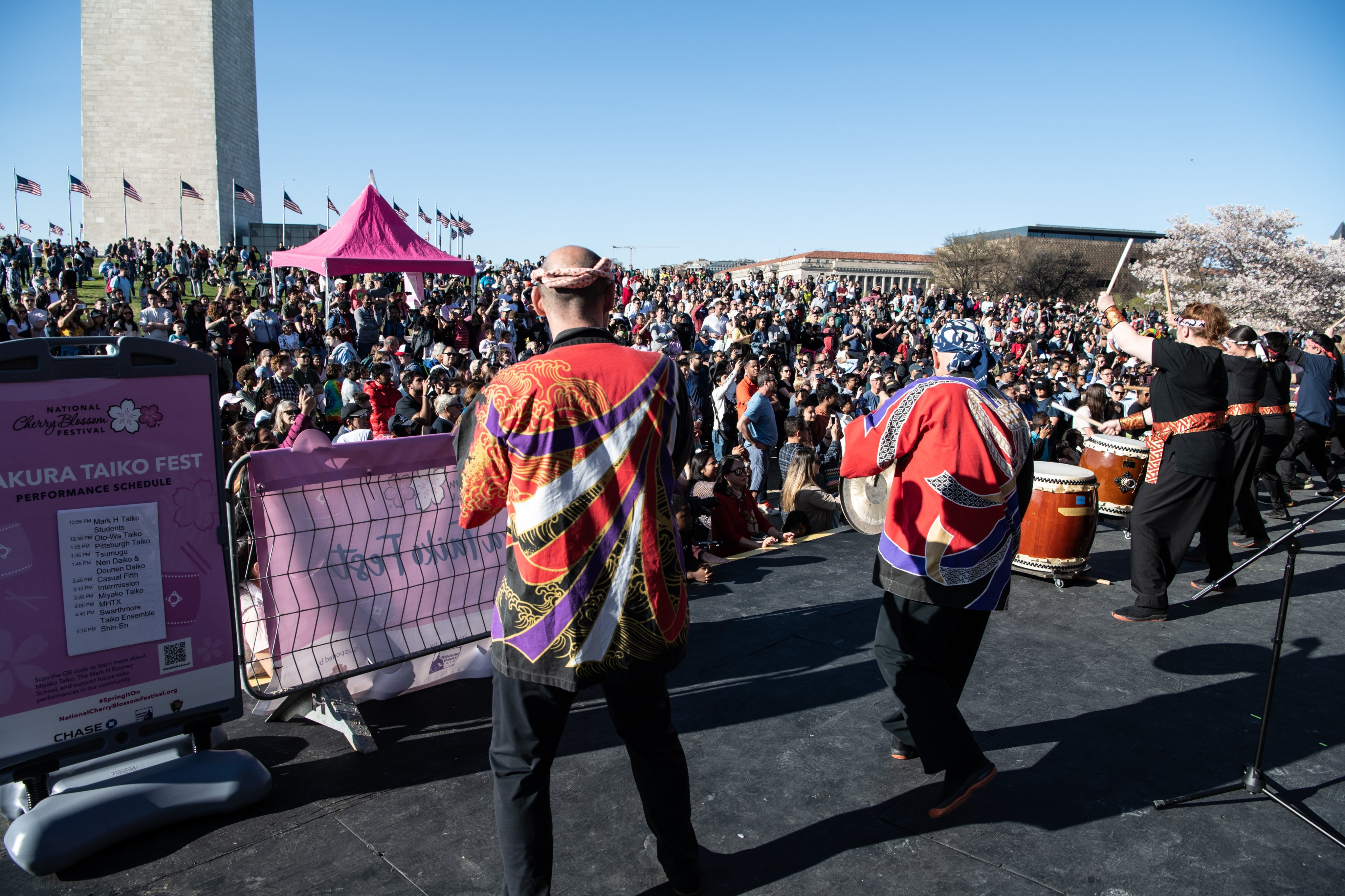 hoa anh dao no anh 2