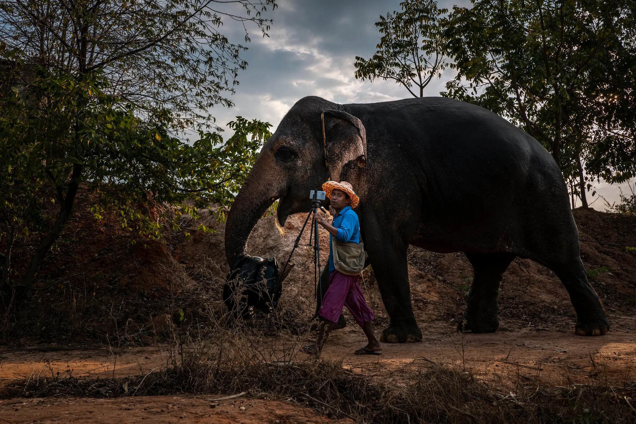 nuoi voi o thai lan anh 7