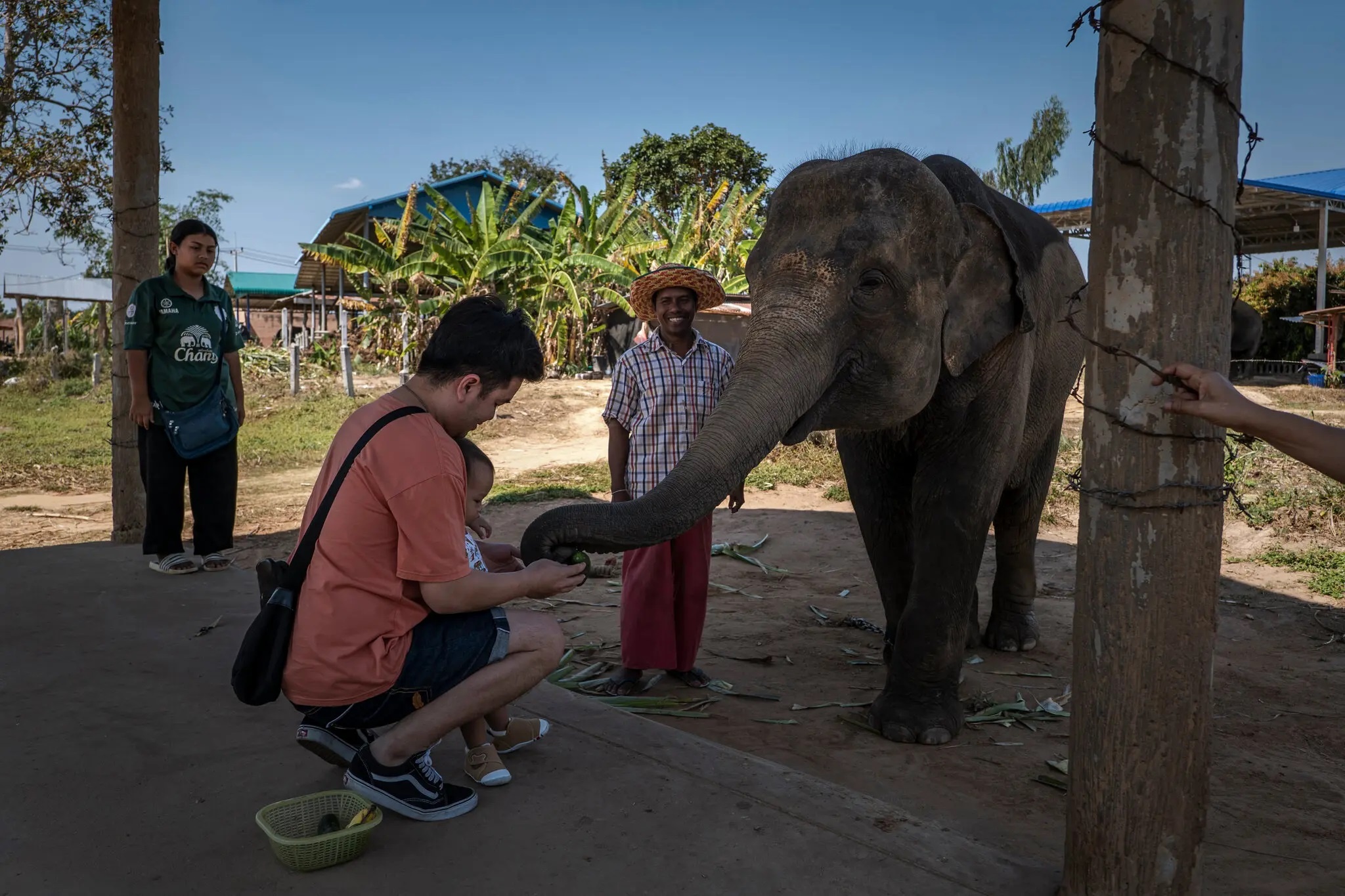 nuoi voi o thai lan anh 10