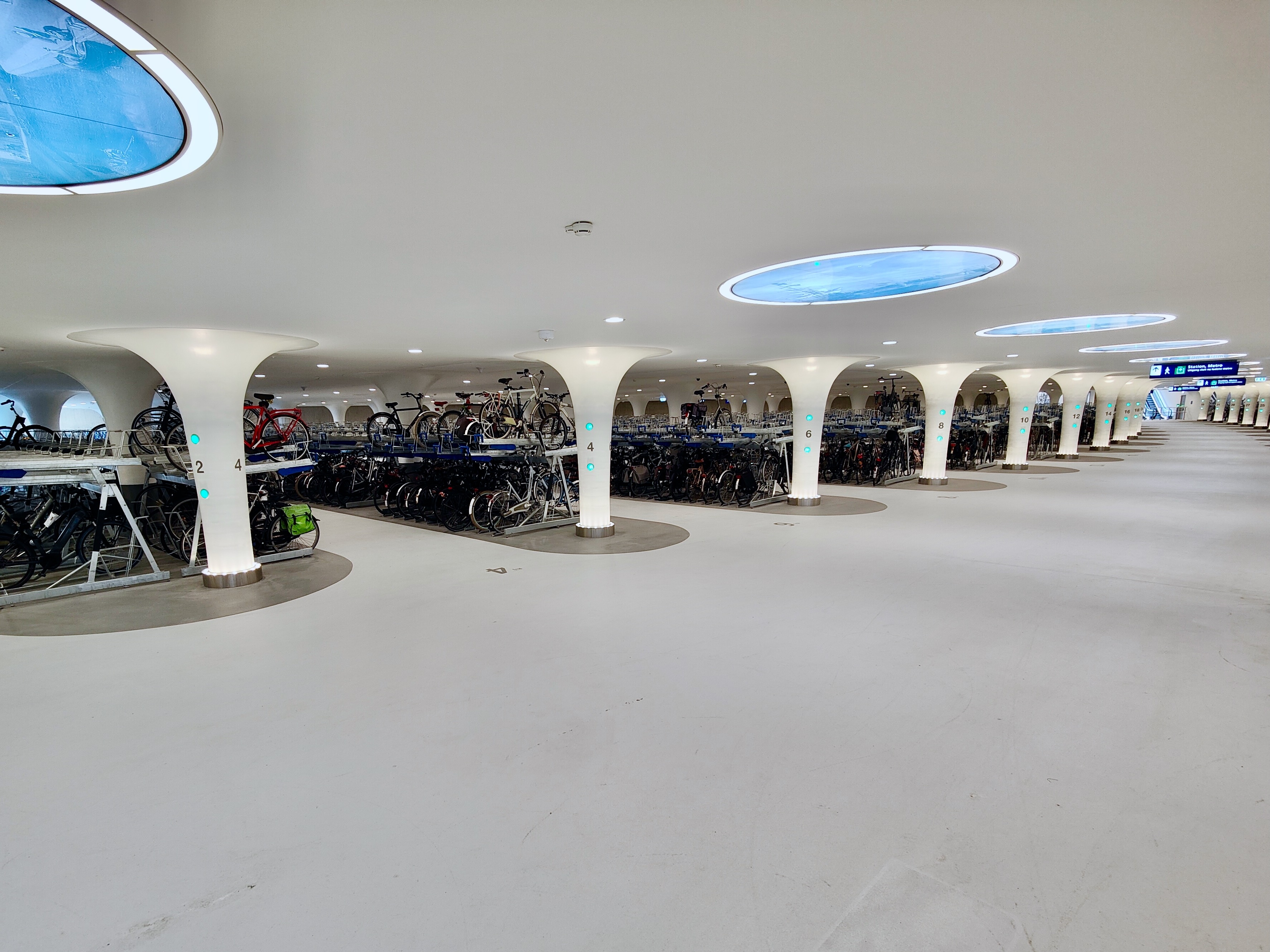 Bai gui xe dap duoi nuoc o Ha Lan khien ca the gioi chu y hinh anh