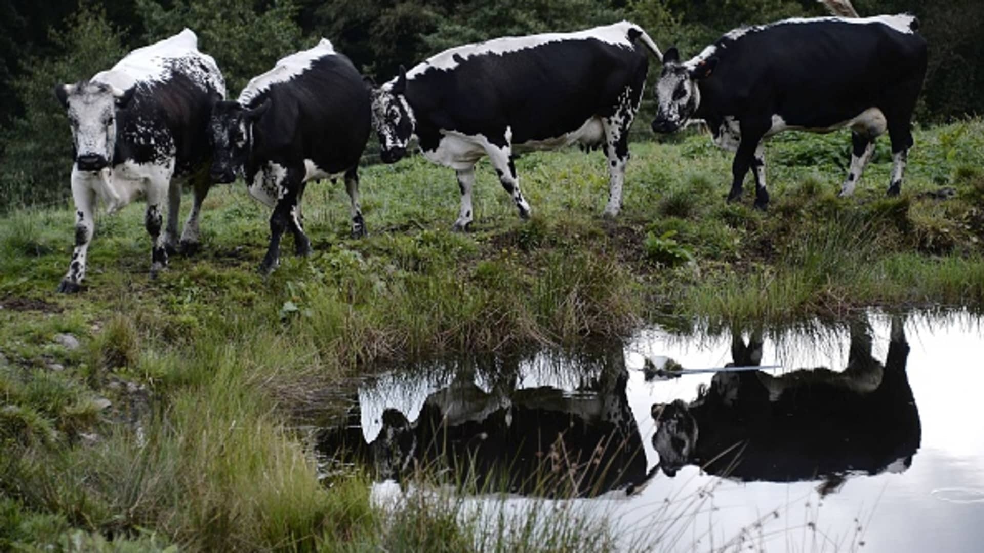 bao hiem nang nong anh 3