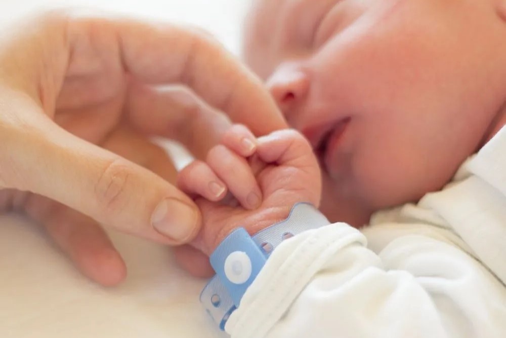 'Ngoi vuong' nhung cai ten dat cho con pho bien nhat o My hinh anh