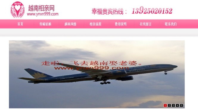 Trung Quoc se triet pha trang web moi gioi co dau Viet hinh anh