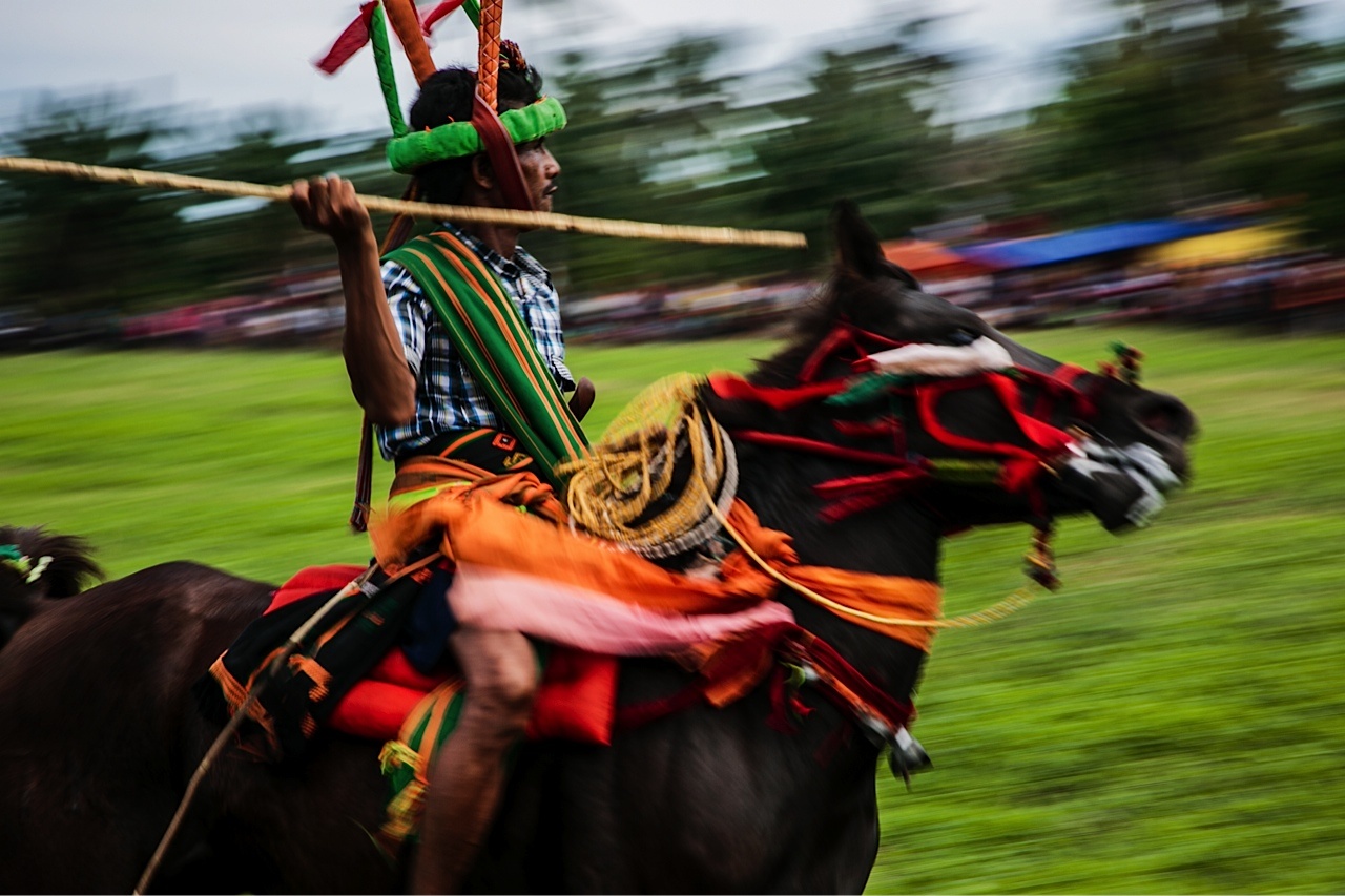 Danh tran gia de cau mua mang boi thu hinh anh