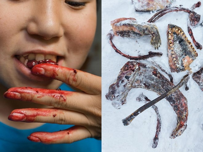 Nhung bo lac an uong nhu thoi tien su hinh anh