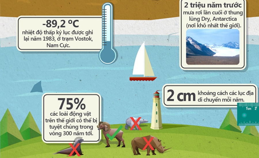 Nhung su that it biet ve mat dat va con nguoi hinh anh