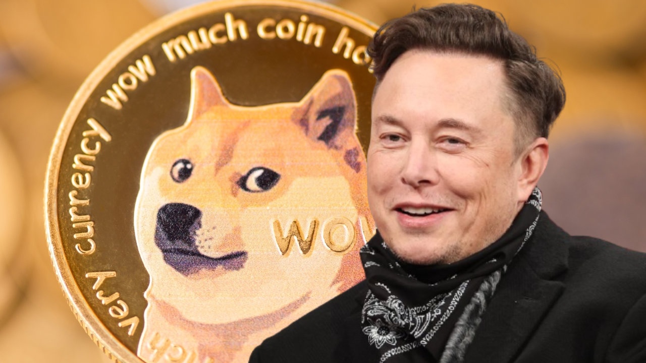 Nha dau tu mat niem tin vao Elon Musk hinh anh