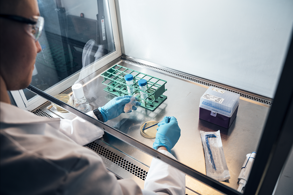 Tong hop protein tu khi CO2,  Protein,  CO2,  Thit anh 1