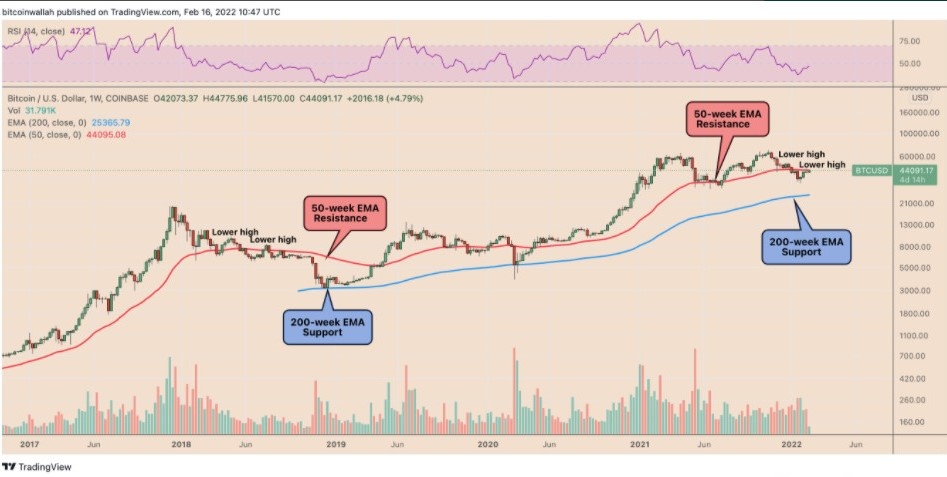 Gia Bitcoin co chi bao tieu cuc,  Chi bao,  Bitcoin anh 2