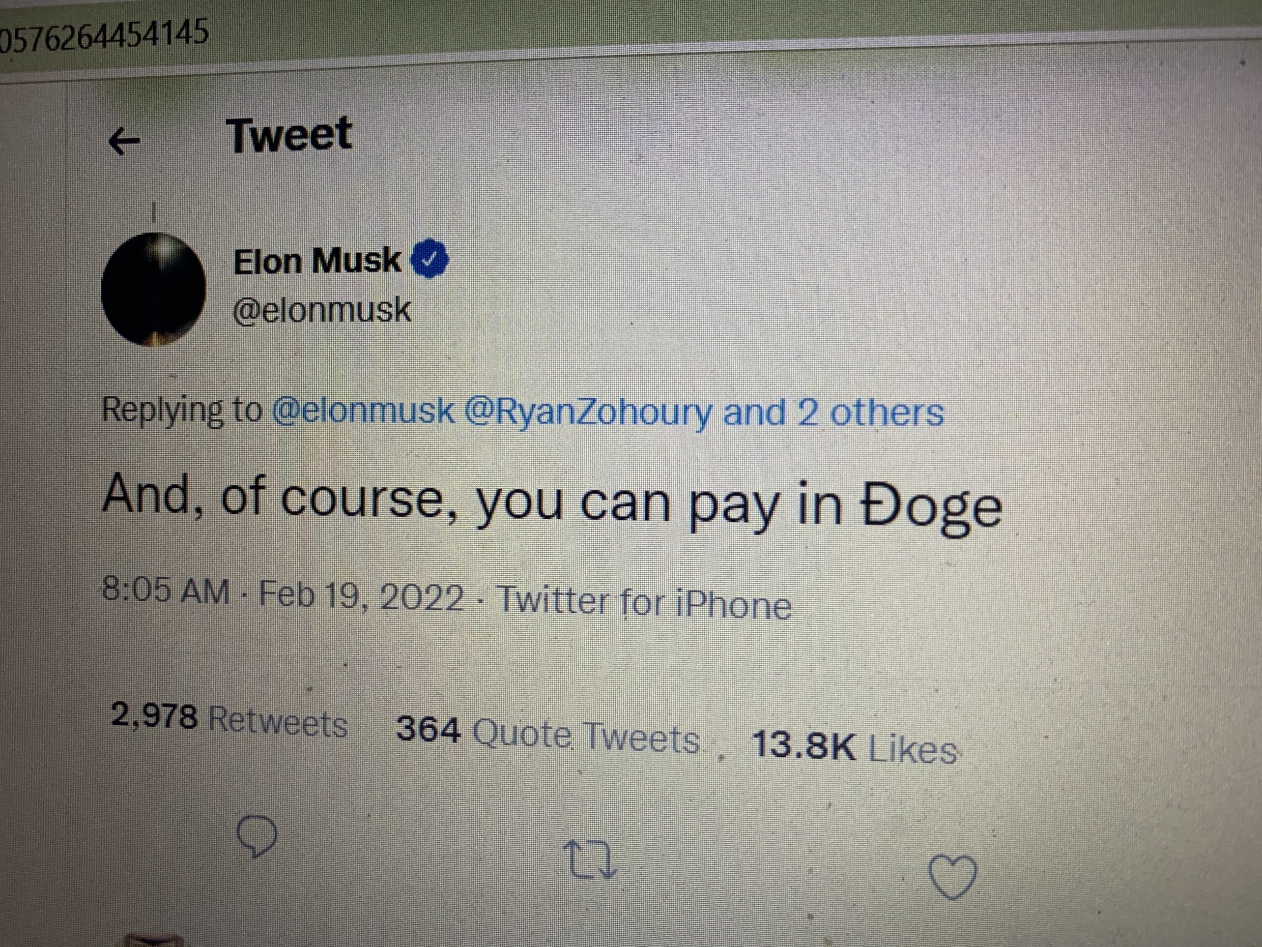 Nhung memecoin noi tieng ngay ay gio ra sao anh 1