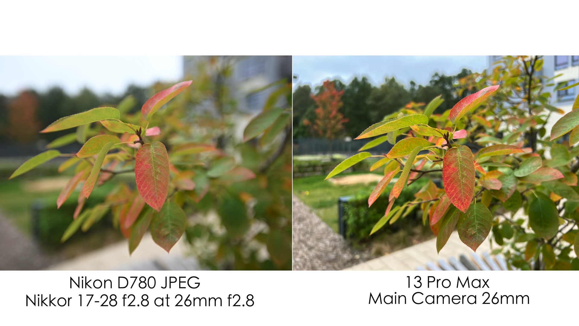 Camera iPhone qua 'thong minh',  lam mat mau sac chan that anh 5